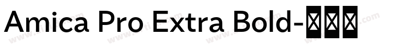 Amica Pro Extra Bold字体转换 Amica Pro Extra Bold字体转换
